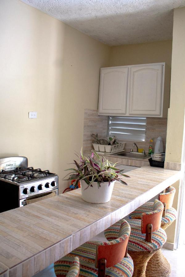 Complejo Villa Las Palmeras Piscina, Billar, Jardin, Bbq @Drvacationsrental Samana Buitenkant foto